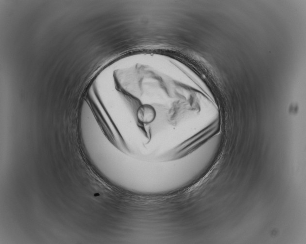 X0000097591361200803280918