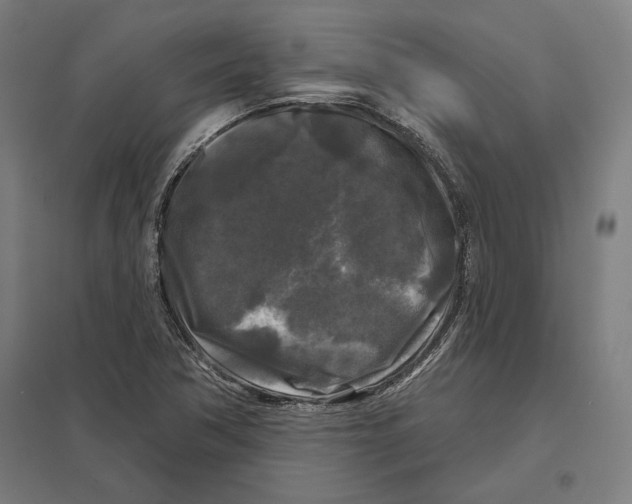 X0000097591362200803280918