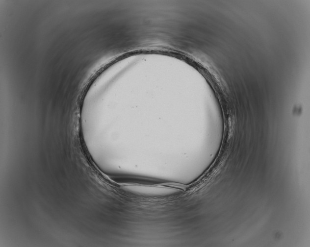 X0000097591363200803280918