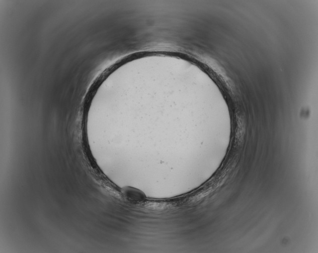 X0000097591364200803280918