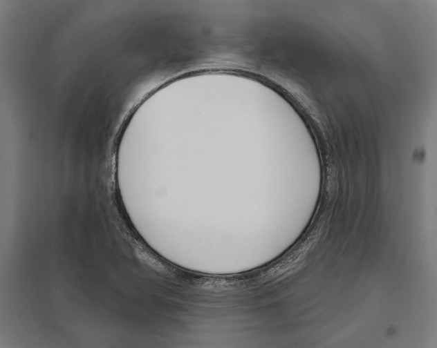 X0000097591366200803280917