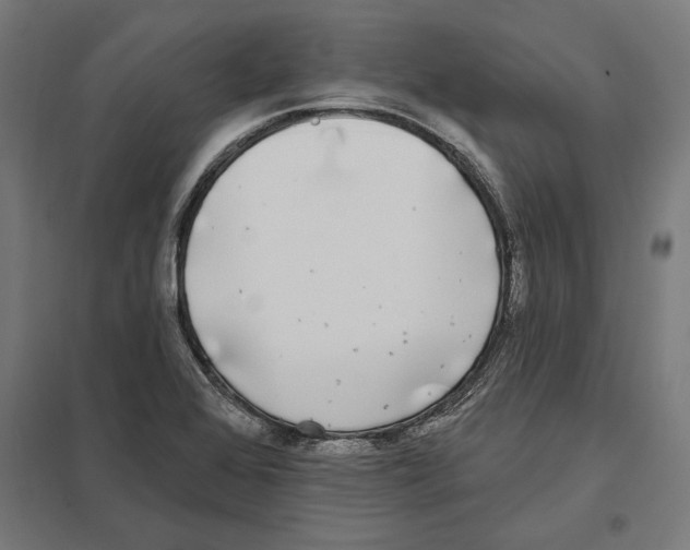 X0000097591368200803280917