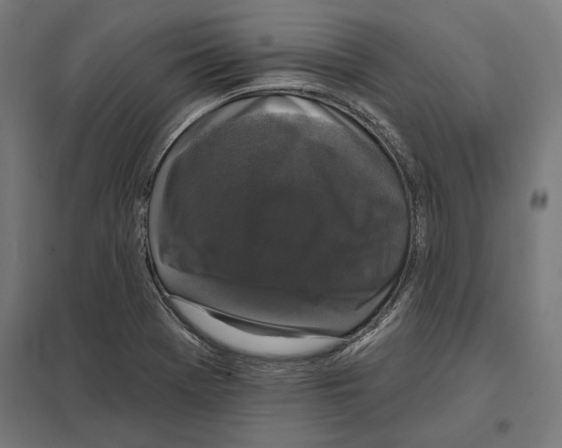 X0000097591369200803280917