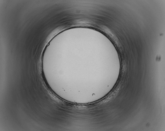 X0000097591370200803280917