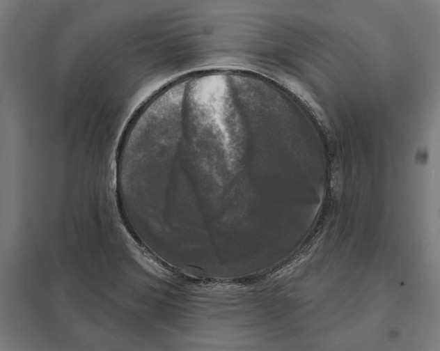 X0000097591372200803280917