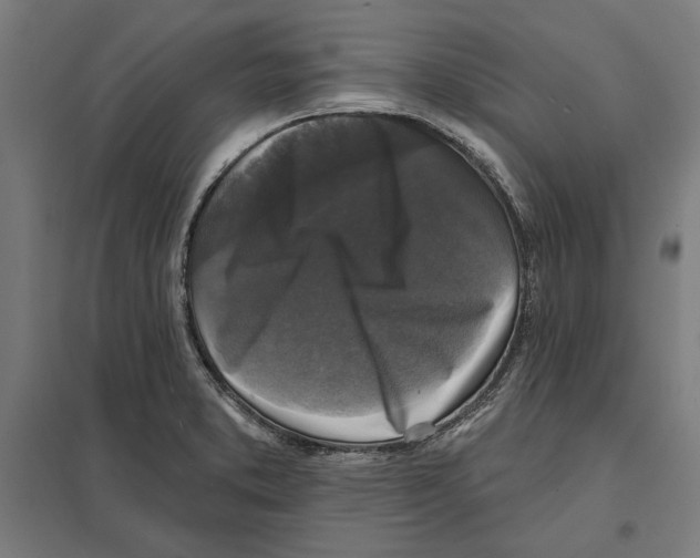 X0000097591373200803280917