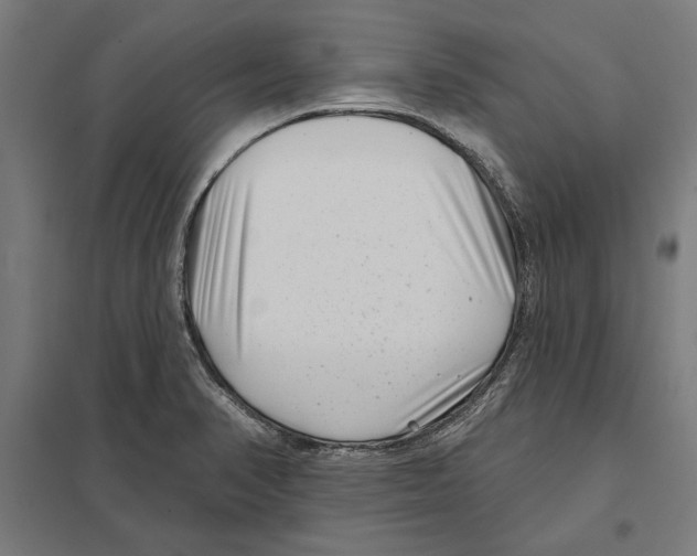 X0000097591374200803280917