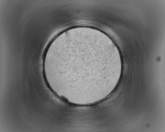 X0000097591376200803280917