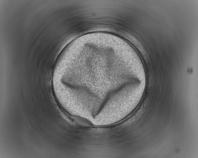 X0000097591377200803280917