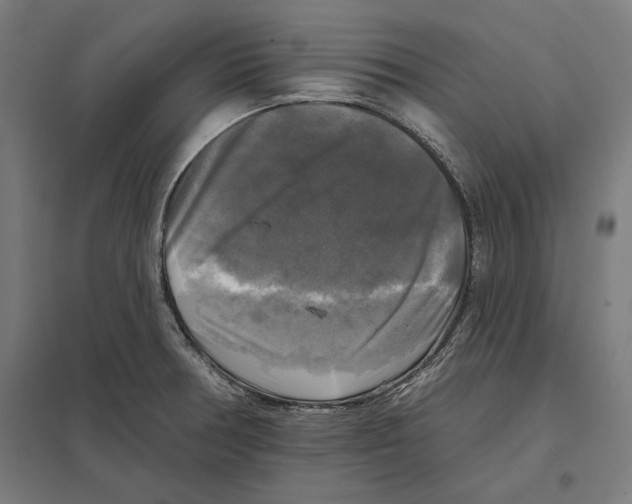 X0000097591378200803280917