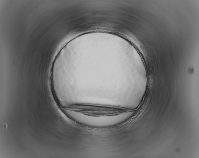 X0000097591379200803280917