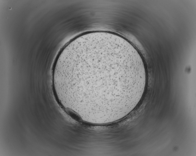 X0000097591380200803280917