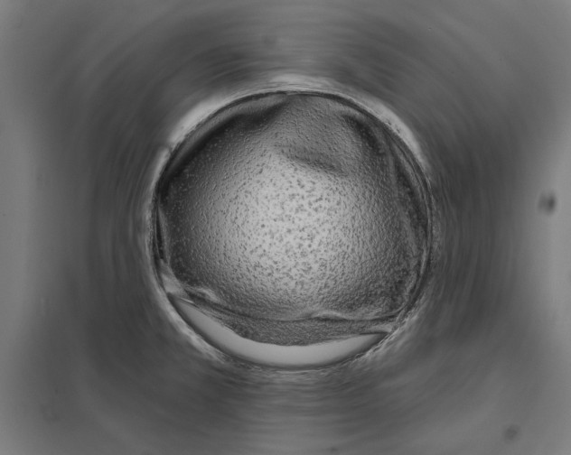 X0000097591381200803280917