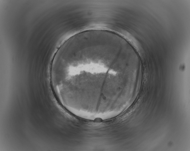 X0000097591382200803280917