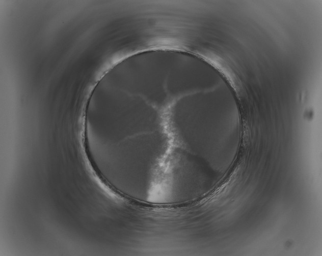 X0000097591383200803280917