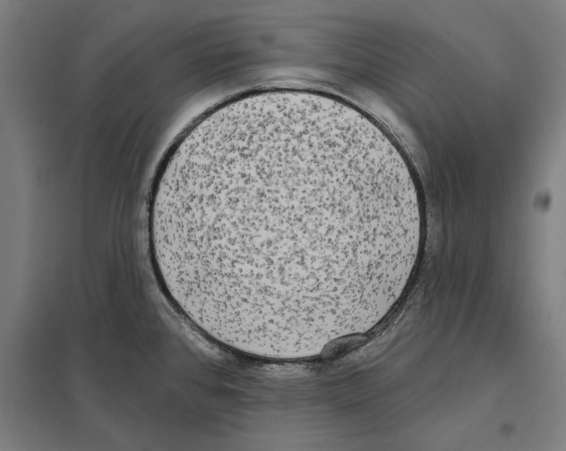 X0000097591384200803280917