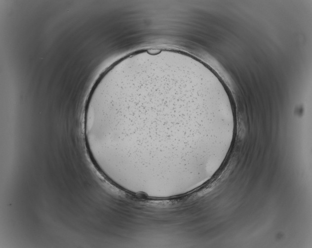 X0000097591388200803280917