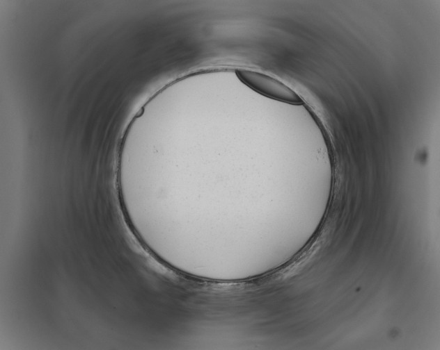 X0000097591390200803280917