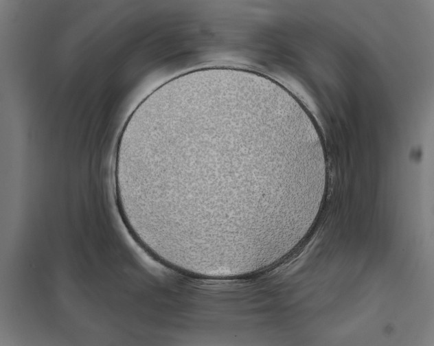 X0000097591391200803280917