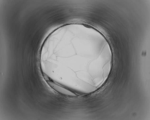 X0000097591392200803280917