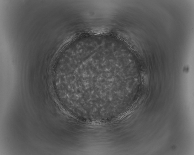 X0000097591393200803280916