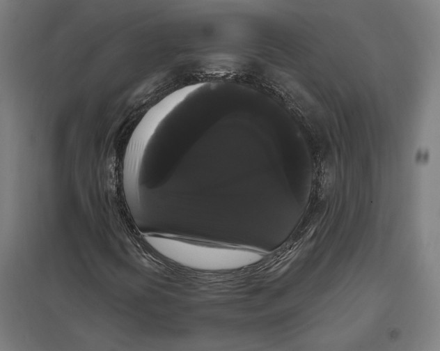 X0000097591394200803280916