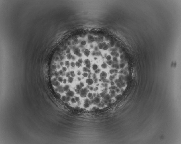 X0000097591396200803280916