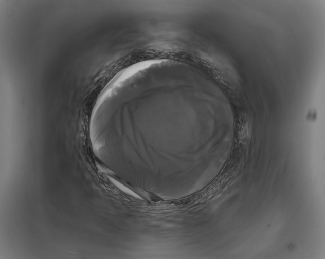 X0000097591397200803280916