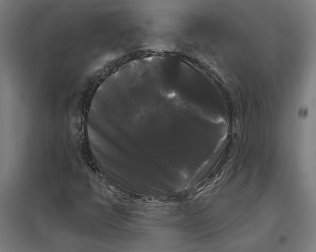 X0000097591398200803280916