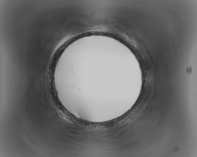 X0000097591400200803280916