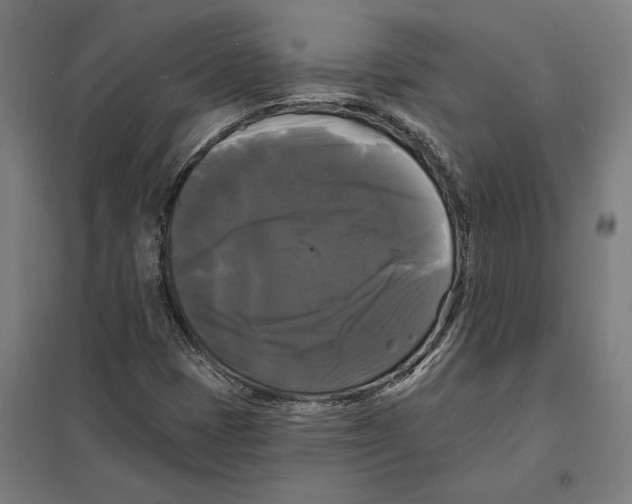 X0000097591401200803280916