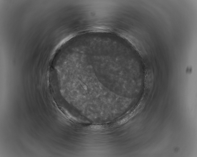 X0000097591402200803280916