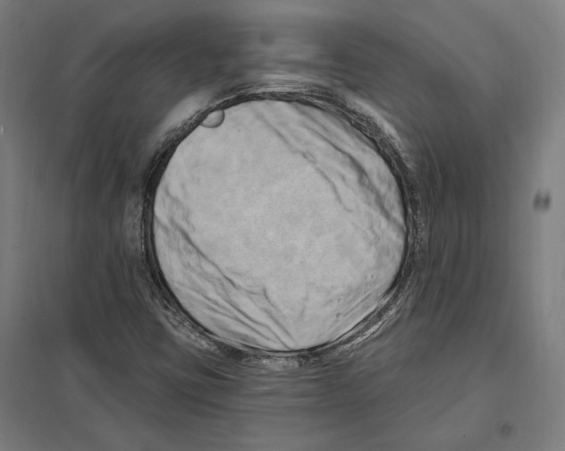 X0000097591403200803280916