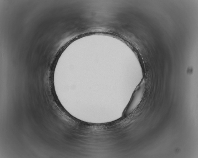 X0000097591404200803280916