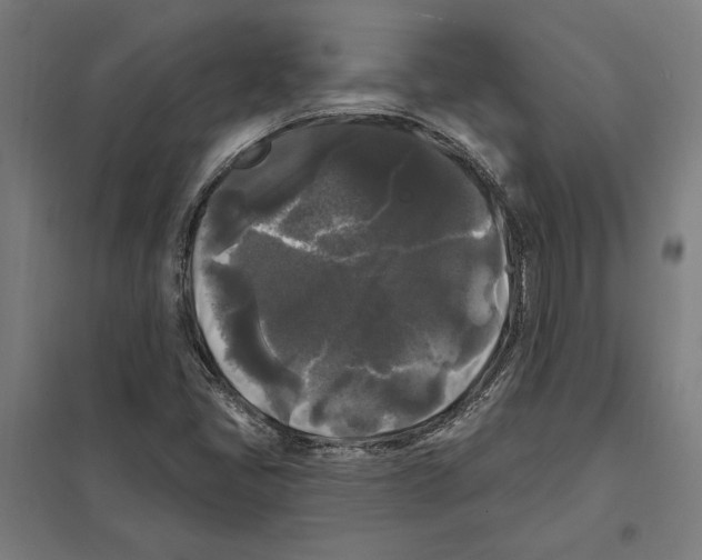 X0000097591405200803280916