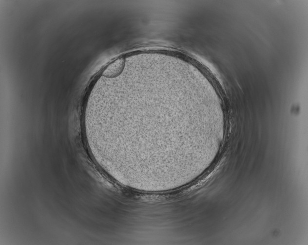 X0000097591407200803280917