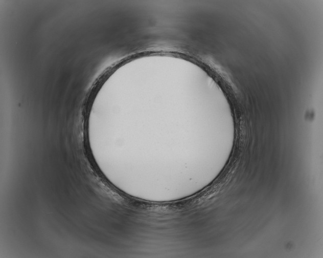 X0000097591408200803280917