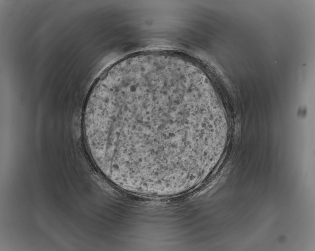 X0000097591409200803280917