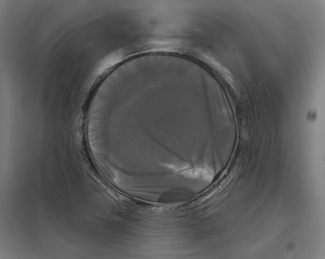 X0000097591411200803280917