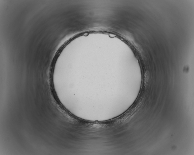 X0000097591412200803280917