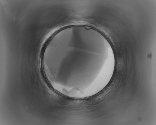 X0000097591414200803280917