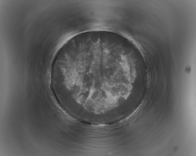 X0000097591415200803280917