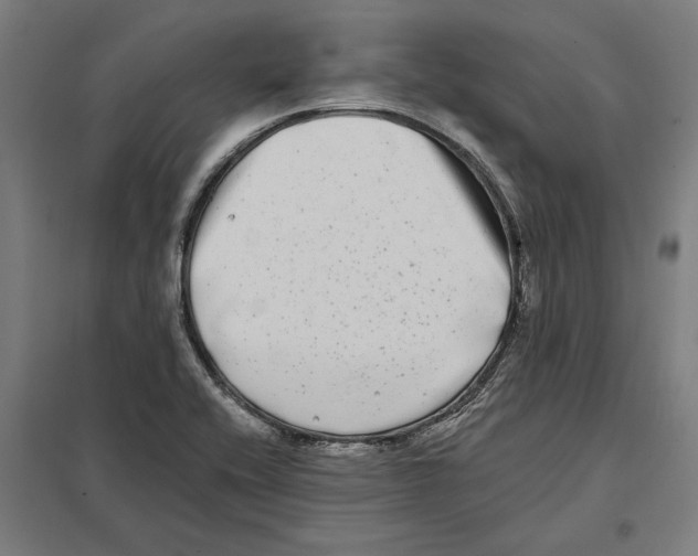 X0000097591416200803280917