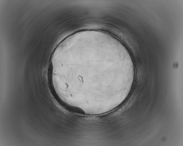 X0000097591417200803280917