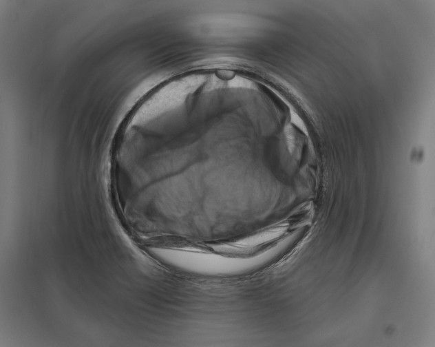 X0000097591418200803280917