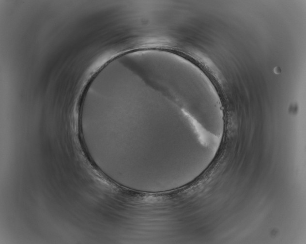 X0000097591419200803280917