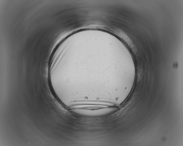 X0000097591420200803280917