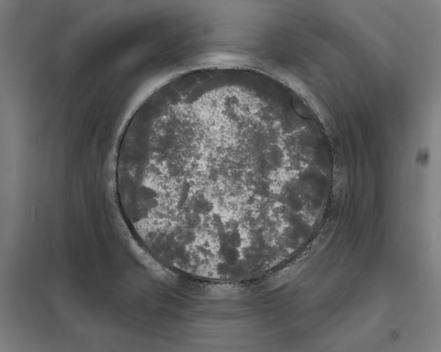 X0000097591421200803280917