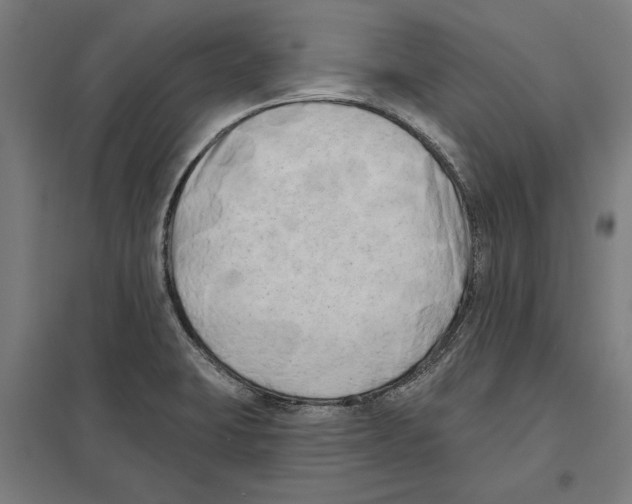 X0000097591423200803280917