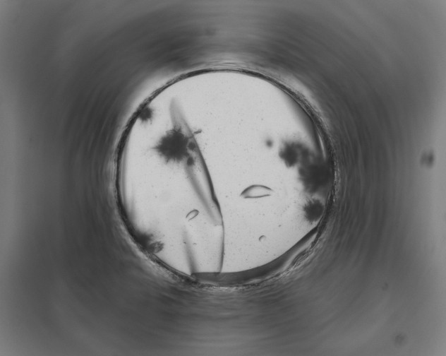 X0000097591424200803280917